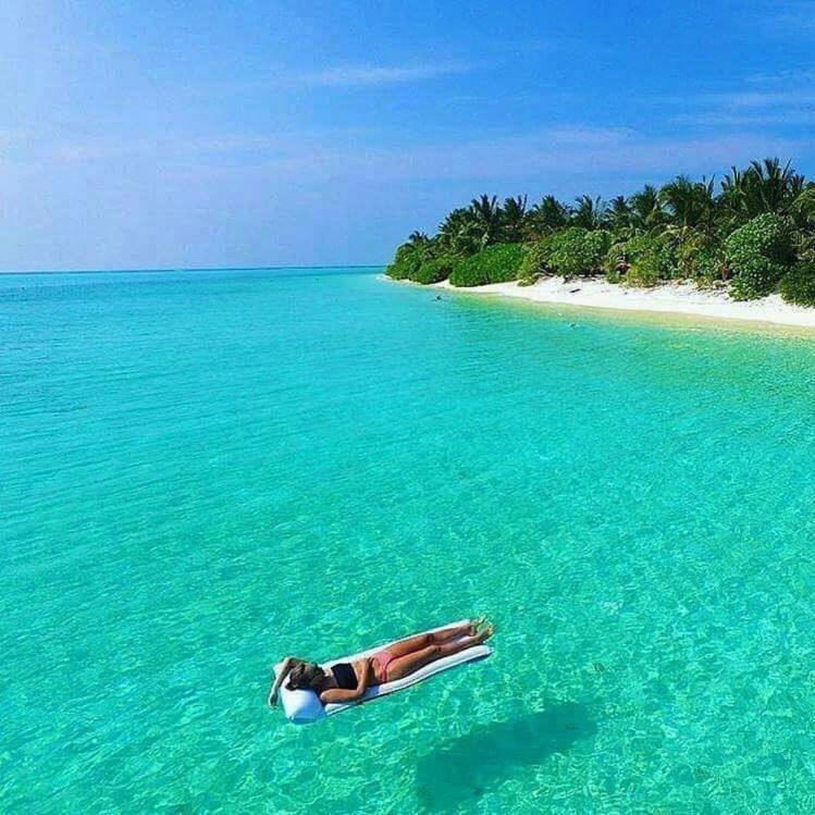 Sunny Beach Тодо Екстериор снимка